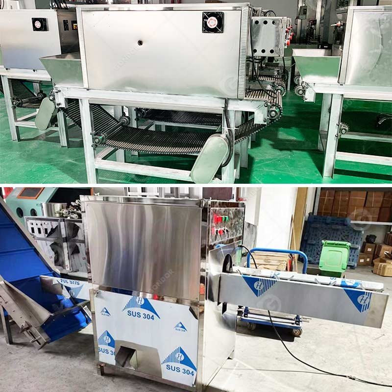 Mini Air Used Remove Spring Onion Wash Commercial Root Cut Skin Peeler Onion Peel Machine and Cutter