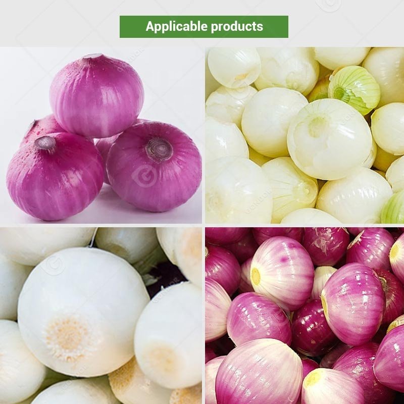 Mini Air Used Remove Spring Onion Wash Commercial Root Cut Skin Peeler Onion Peel Machine and Cutter