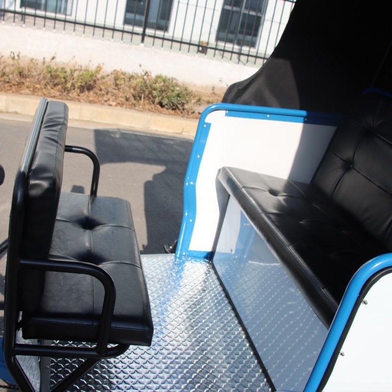 1000w Brushless Motor Pedicab Rickshaw 5 Seats Bike Taxi Tricycles With Damping Front Fork