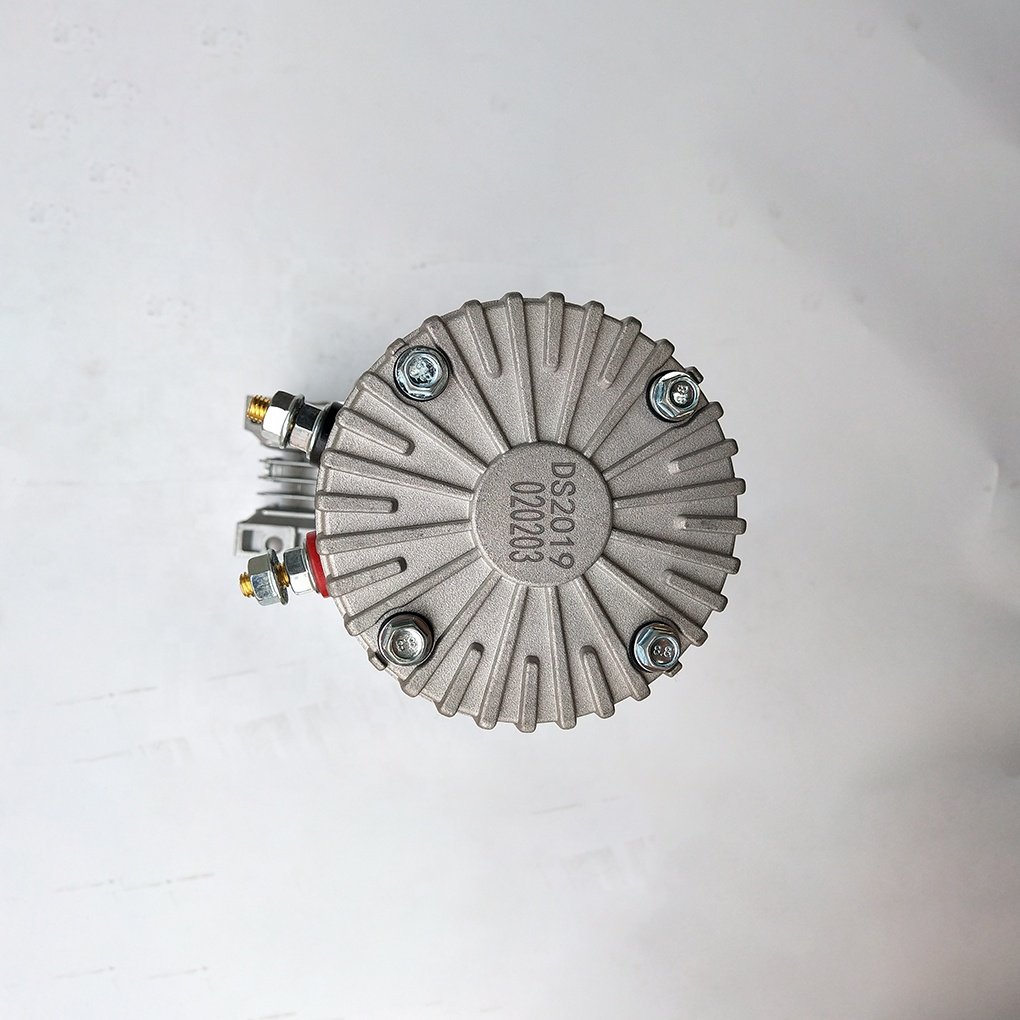China High 900W Electric Motor 24V High Torque Low RPM Brushed DC Geared Motor Permanent Magnet Fan Boat Use 24V Volta Sale