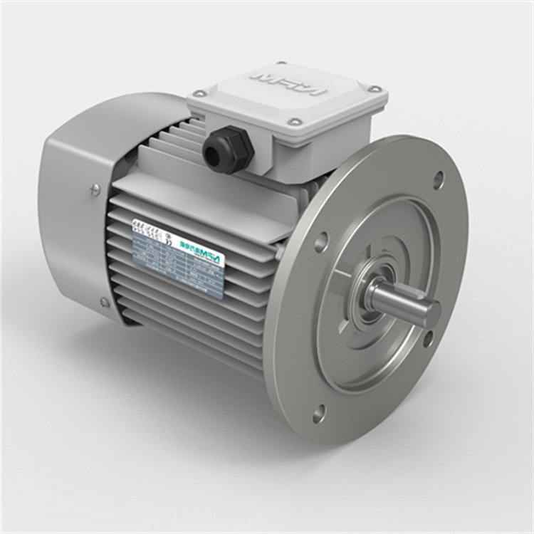 Ac Power Three-Phase Asynchronous Electric Motors 50Hz/60Hz Frequency Control Enclosed Protective Feature