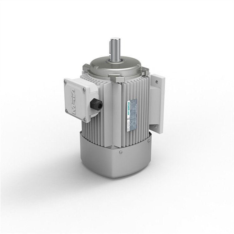 Ac Power Three-Phase Asynchronous Electric Motors 50Hz/60Hz Frequency Control Enclosed Protective Feature