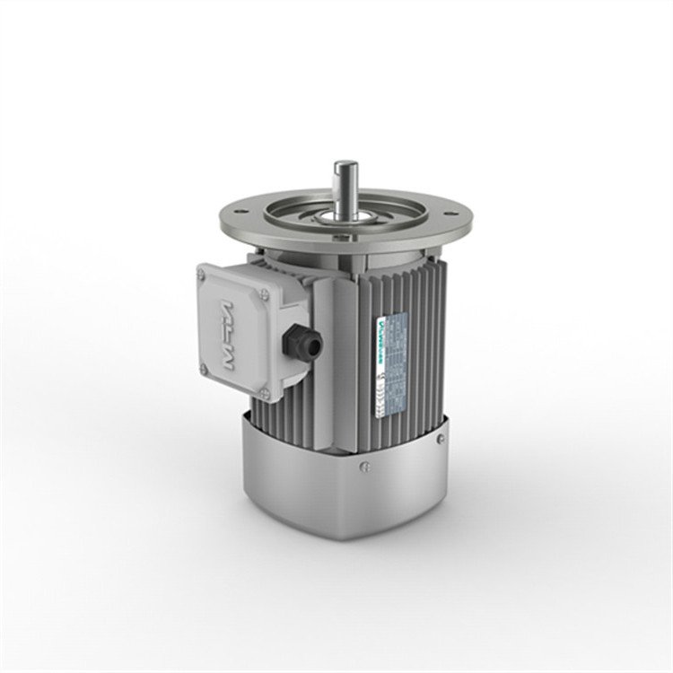 Ac Power Three-Phase Asynchronous Electric Motors 50Hz/60Hz Frequency Control Enclosed Protective Feature