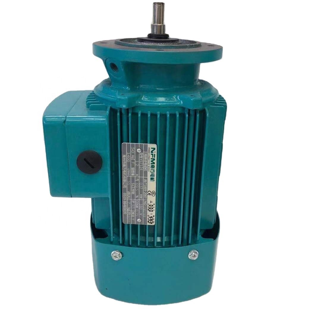 Ac Power Three-Phase Asynchronous Electric Motors 50Hz/60Hz Frequency Control Enclosed Protective Feature