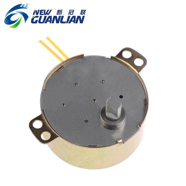 49TYJ Low Rpm 4w 50ktyz Permanent Magnet Small Auto Ac Synchronous Motor