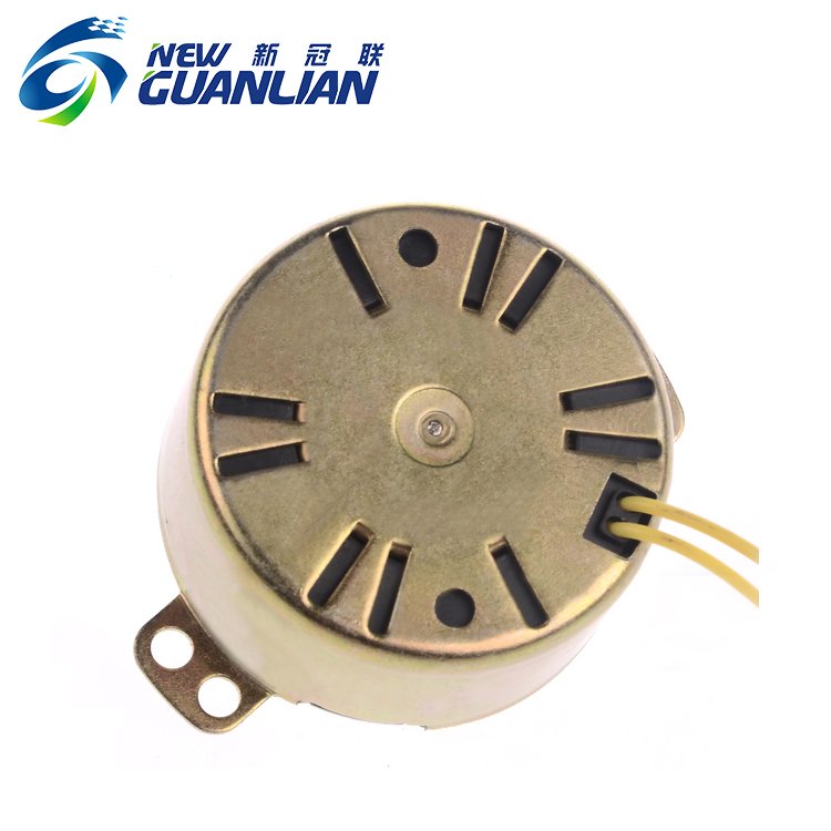49TYJ Low Rpm 4w 50ktyz Permanent Magnet Small Auto Ac Synchronous Motor
