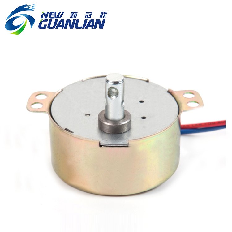 49TYJ Low Rpm 4w 50ktyz Permanent Magnet Small Auto Ac Synchronous Motor