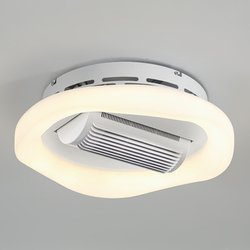 Motor 20W+Light 48W*2