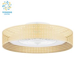 Motor 15W+Light 45W