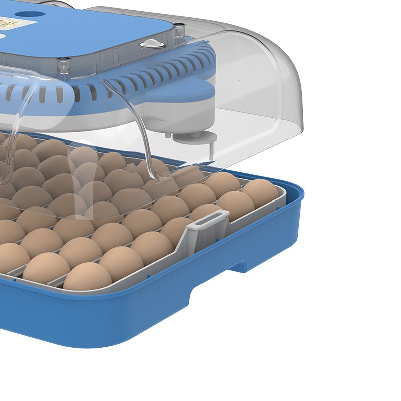 Hhd 70H Capacity Auto Turning-Egg Automatic Egg Incubator Dual Power DC 12V Dual Temperature Humidity Control Intelligent System