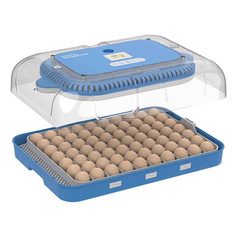 Hhd 70H Capacity Auto Turning-Egg Automatic Egg Incubator Dual Power DC 12V Dual Temperature Humidity Control Intelligent System