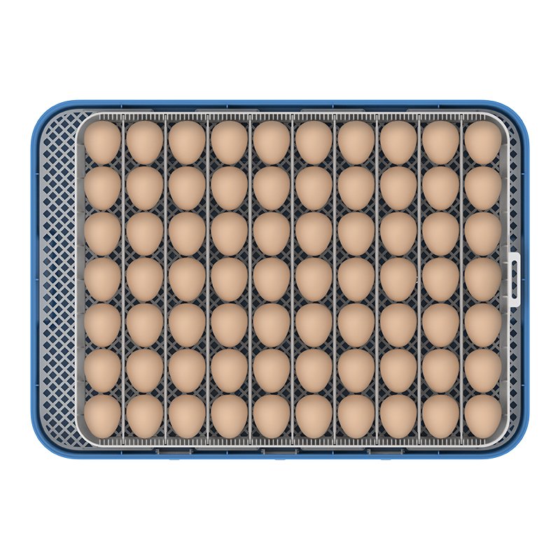 Hhd 70H Capacity Auto Turning-Egg Automatic Egg Incubator Dual Power DC 12V Dual Temperature Humidity Control Intelligent System