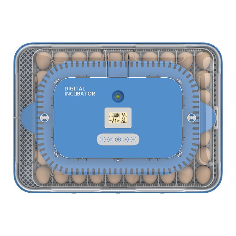 Hhd 70H Capacity Auto Turning-Egg Automatic Egg Incubator Dual Power DC 12V Dual Temperature Humidity Control Intelligent System