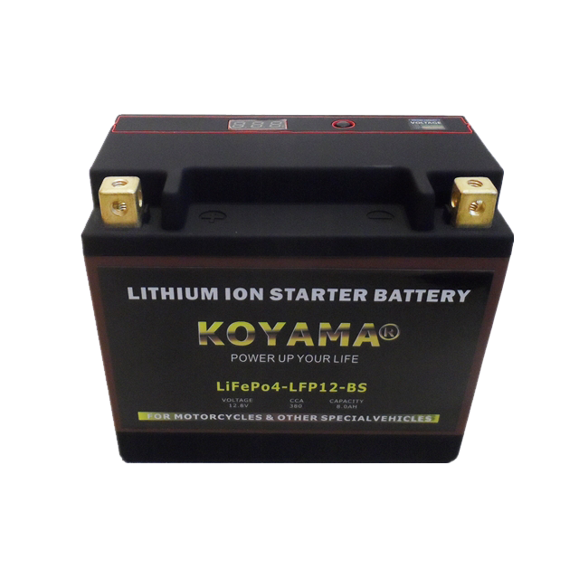 OEM Lithium Ion Batteries 12v 5ah 6ah 8ah LiFePO4 LFP12-BS Motorcycle Starting Battery for Power Sports