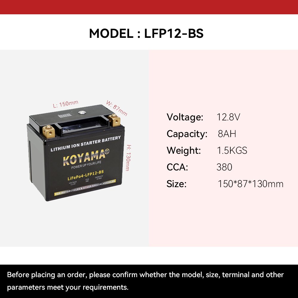 OEM Lithium Ion Batteries 12v 5ah 6ah 8ah LiFePO4 LFP12-BS Motorcycle Starting Battery for Power Sports