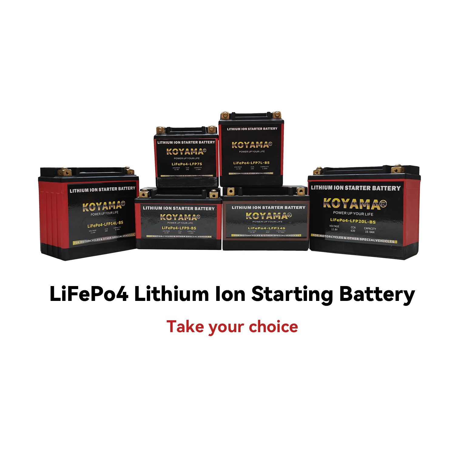 OEM Lithium Ion Batteries 12v 5ah 6ah 8ah LiFePO4 LFP12-BS Motorcycle Starting Battery for Power Sports