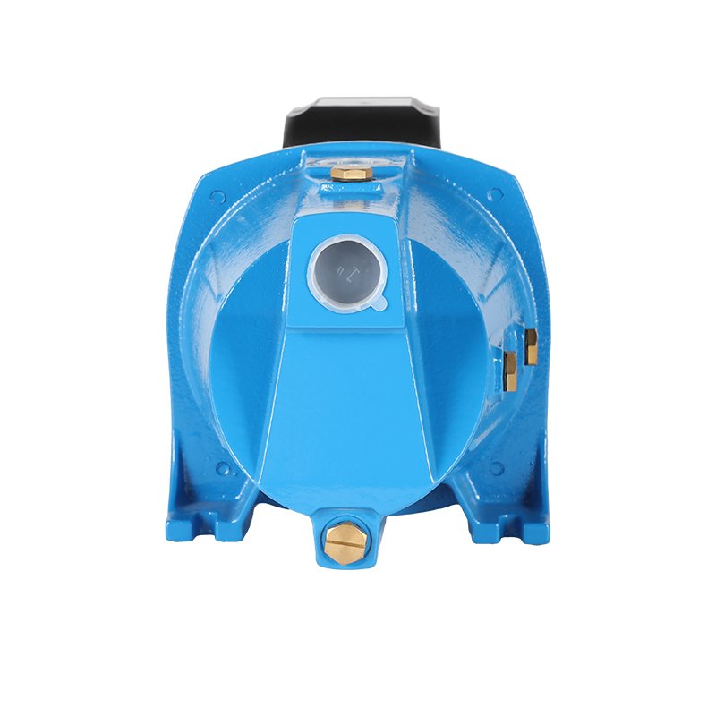 Manufacturer Pompa Supply JSP 1HP Surface Pumps Price Sale Jet 0.75kW Auto Suck Self-priming Sale Electric Motor Water Pump