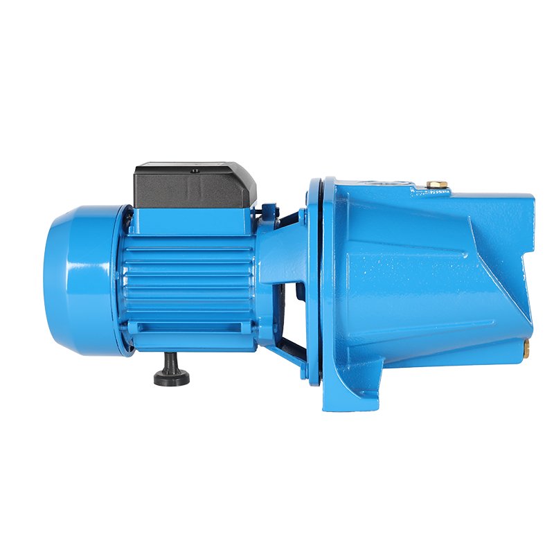 Manufacturer Pompa Supply JSP 1HP Surface Pumps Price Sale Jet 0.75kW Auto Suck Self-priming Sale Electric Motor Water Pump