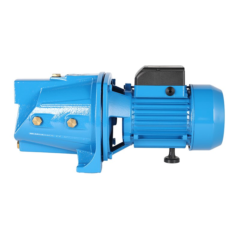 Manufacturer Pompa Supply JSP 1HP Surface Pumps Price Sale Jet 0.75kW Auto Suck Self-priming Sale Electric Motor Water Pump