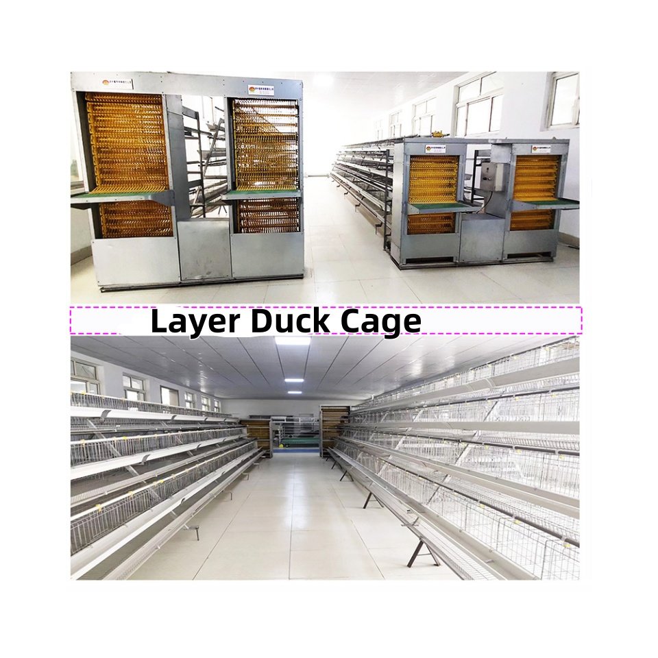 Automatic Farm Breeder Duck Cage Egg Duck Cage for Layer Duck