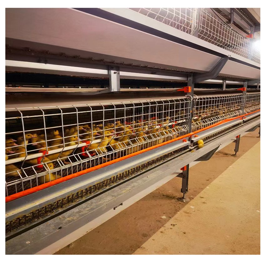 Automatic Farm Breeder Duck Cage Egg Duck Cage for Layer Duck