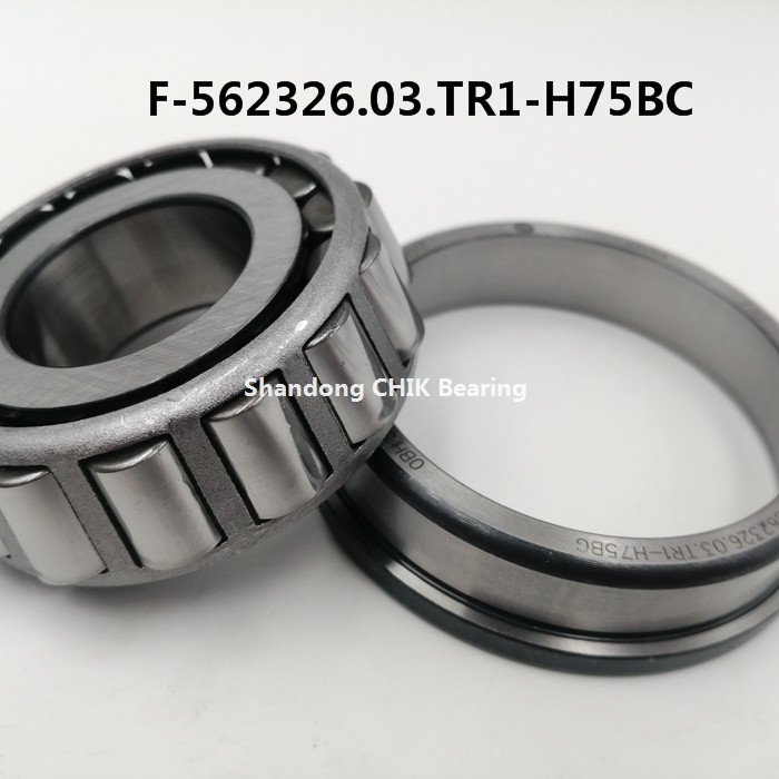 F-562525.04-0061 F 562525 16K0303 45 3759402 Auto Steering Bearing for Aftermarket
