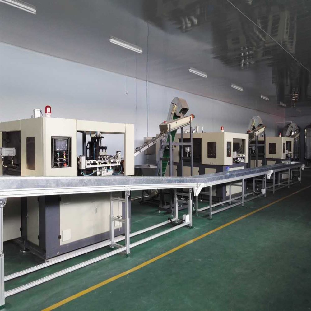 2 Cavity Automatic PET Bottle Making Blow Molding Machine PET Plastic Bottle Blowing Machine Price
