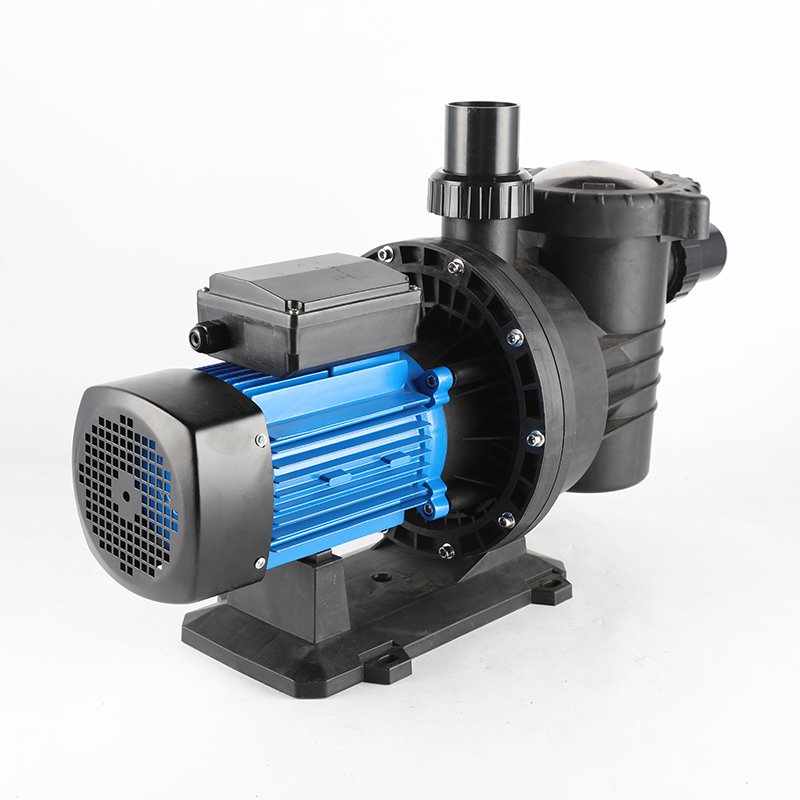 Auto Source Stainless Steel Volume High Pressure 1HP Dc Electric Motor Water Cheap Filter Swimming Heater Heat Pump Pumps Pool