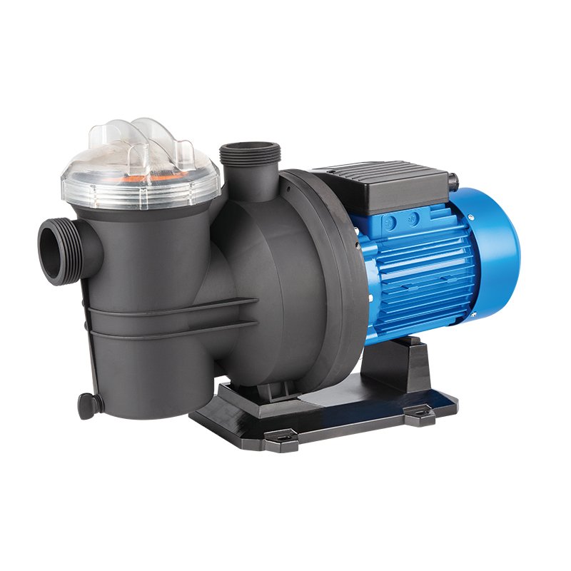 Auto Source Stainless Steel Volume High Pressure 1HP Dc Electric Motor Water Cheap Filter Swimming Heater Heat Pump Pumps Pool