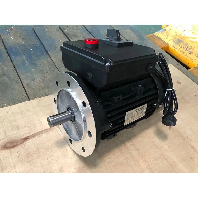 ML Series Electric Car Motor Price Electric Motor 50kw for Cleaning Machine