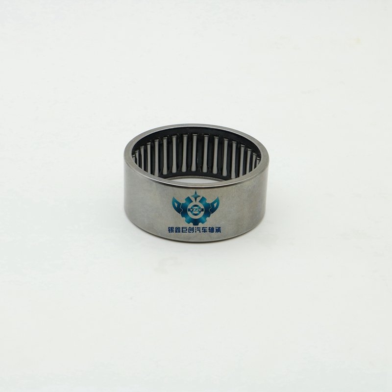 HK5025 Peugeot 405 Peugeot Needle Reinforcement Bearing