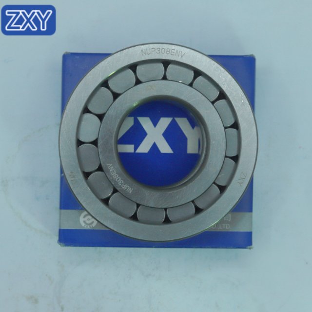 Cylindrical Roller BearingNUP308 NJ305 NU306 NUP210 NUP2209 NUP306 NUP307 NUP310 NUP309 NUP311