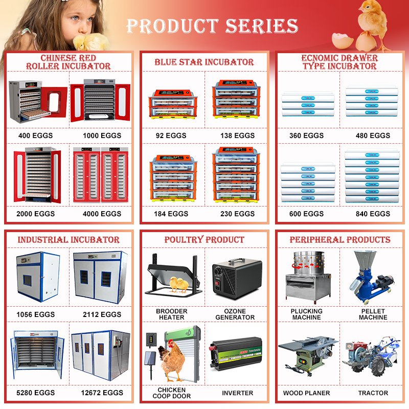 HHD Best Small Solar Automatic Commercial Poultry Fertilized Chicken Duck Bird Parrot Emu Egg Incubators Hatching Machine