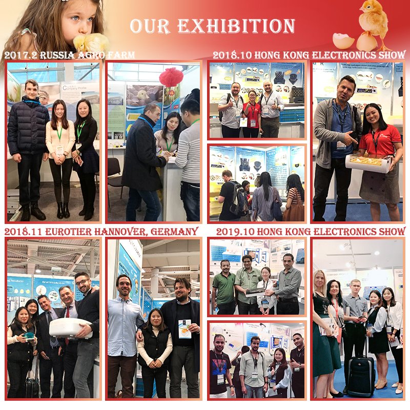 HHD Best Small Solar Automatic Commercial Poultry Fertilized Chicken Duck Bird Parrot Emu Egg Incubators Hatching Machine