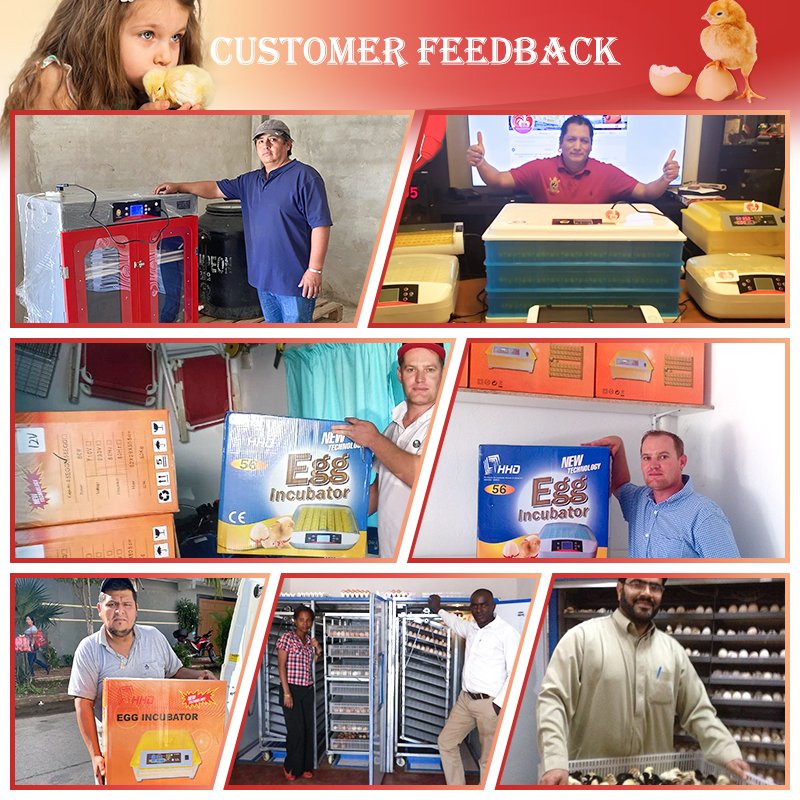 HHD Best Small Solar Automatic Commercial Poultry Fertilized Chicken Duck Bird Parrot Emu Egg Incubators Hatching Machine