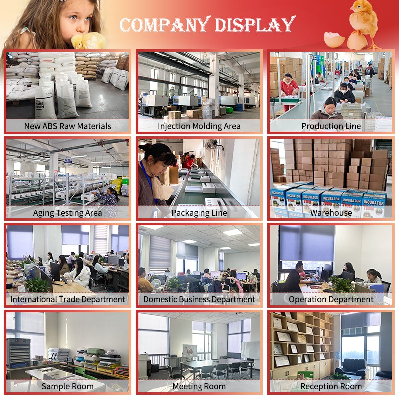 HHD Best Small Solar Automatic Commercial Poultry Fertilized Chicken Duck Bird Parrot Emu Egg Incubators Hatching Machine