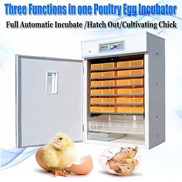 Fully Auto Automatic Incubator 500 Eggs Sutomatic Incubators for 500 Eggs and Septate Hatche