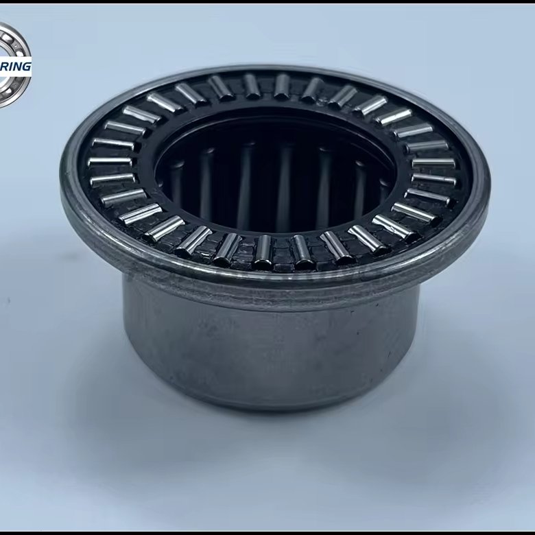 Auto Parts RAX725 Single Row Needle Roller Bearing 25*33*22.2mm