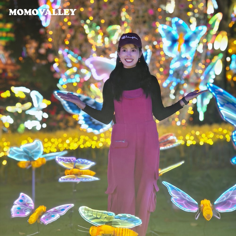 Summer Festival Landscape Led Lighting Outdoor Luxury Christmas Giant Lighted butterfly Xmass Light Decorative Lamp for Garden