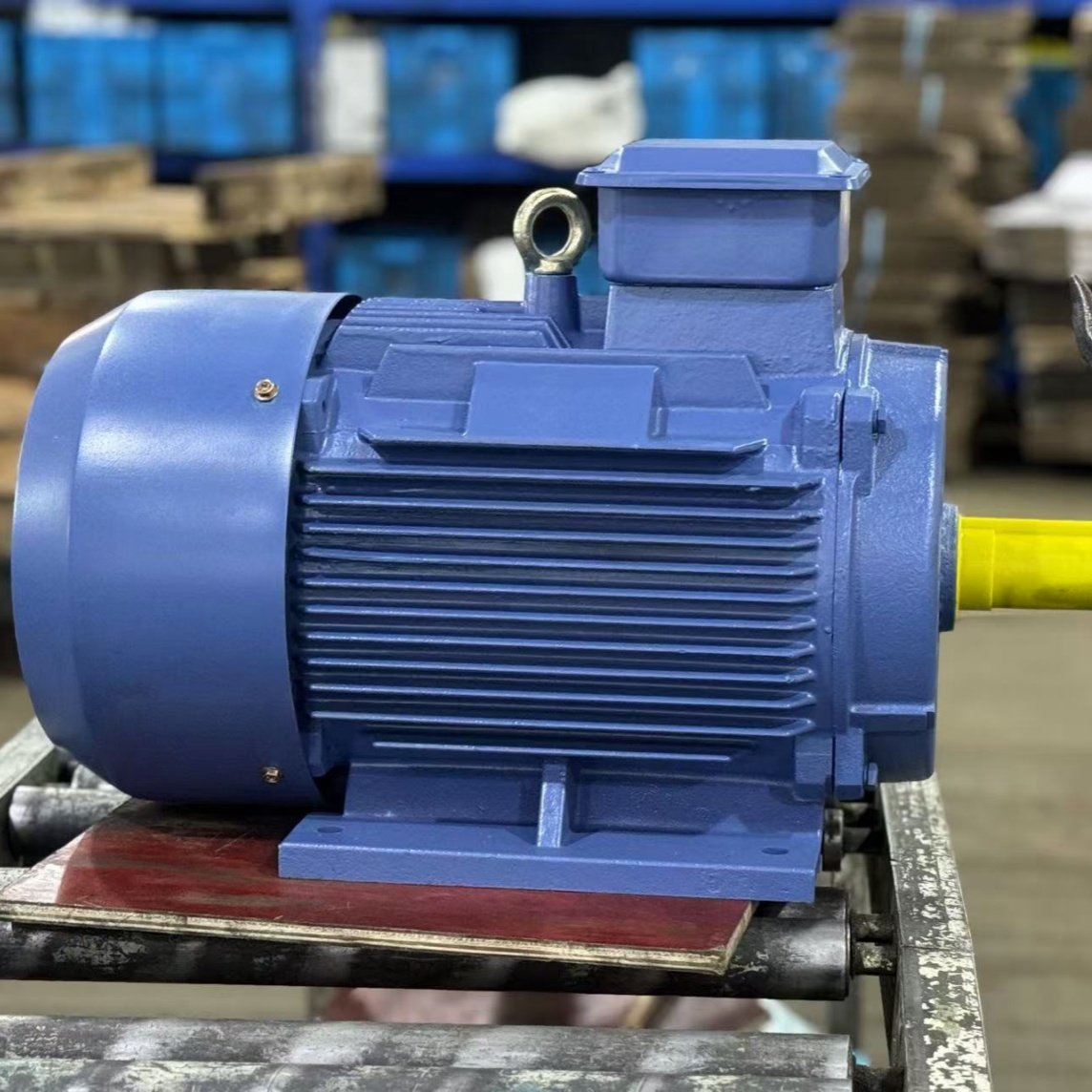 220V Electric Motor 110 kw