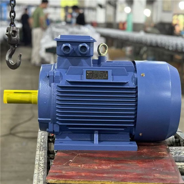 220V Electric Motor 110 kw