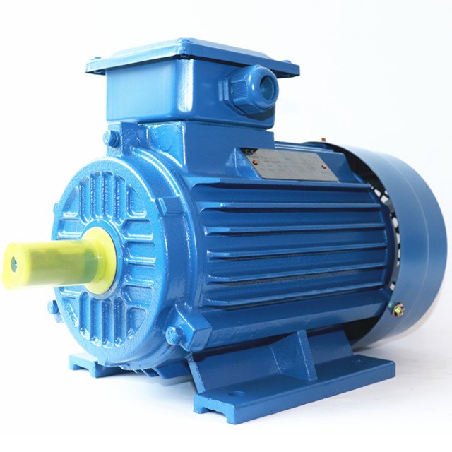 220V Electric Motor 110 kw