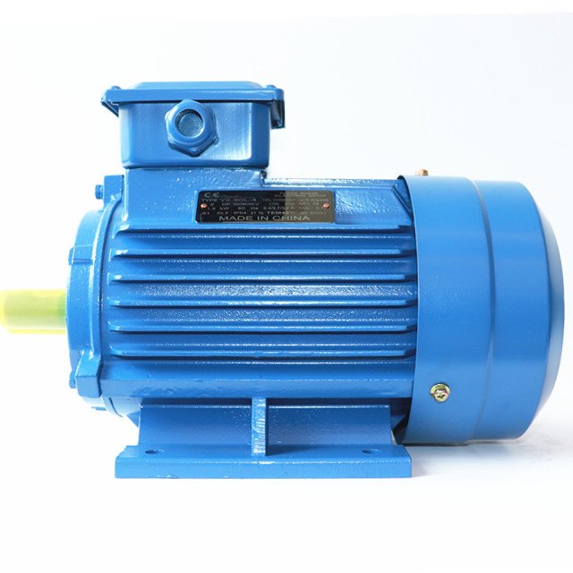 220V Electric Motor 110 kw