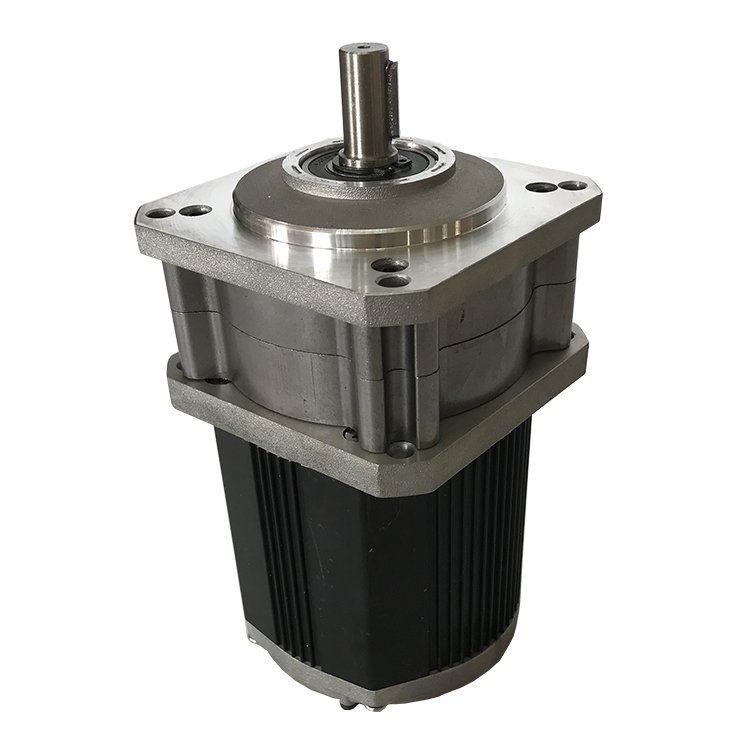 220V 90mm 10 Rpm Gear Motor