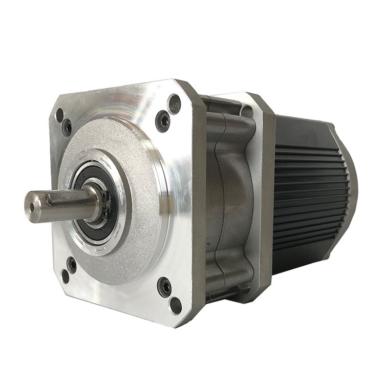 220V 90mm 10 Rpm Gear Motor