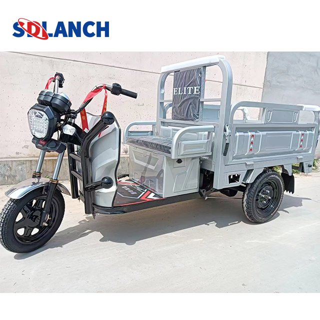 Tricycle 800w 1000w Eec Coc Certificate Reliable Quality Electric Tricycle for Cargo Easy to Use