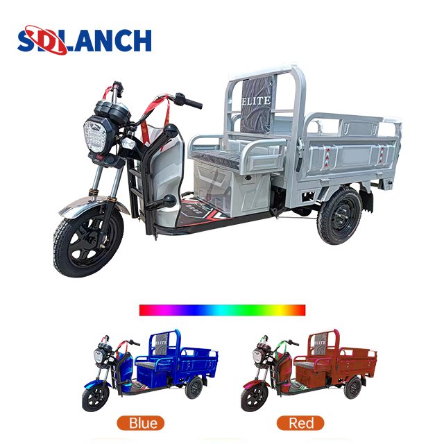 Tricycle 800w 1000w Eec Coc Certificate Reliable Quality Electric Tricycle for Cargo Easy to Use