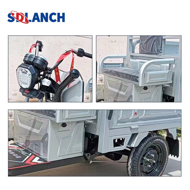 Tricycle 800w 1000w Eec Coc Certificate Reliable Quality Electric Tricycle for Cargo Easy to Use