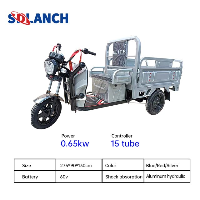 Tricycle 800w 1000w Eec Coc Certificate Reliable Quality Electric Tricycle for Cargo Easy to Use