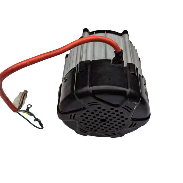 High Quality Electric Engine Brushless DC Motor Tricycle Motor